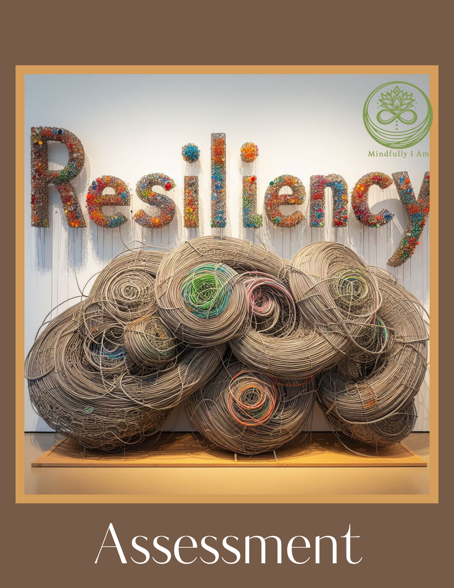 Resiliency Assessment